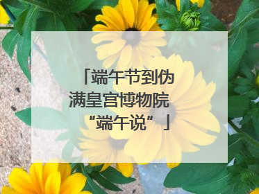 端午节到伪满皇宫博物院“端午说”